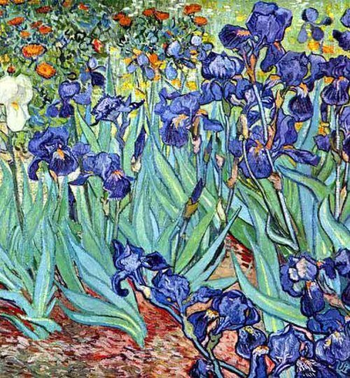 Van-Gogh-Irises